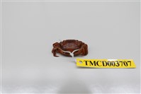 藏品(絨毛近方蟹)的圖片